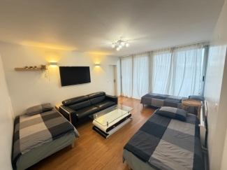 파리 해바라기 민박