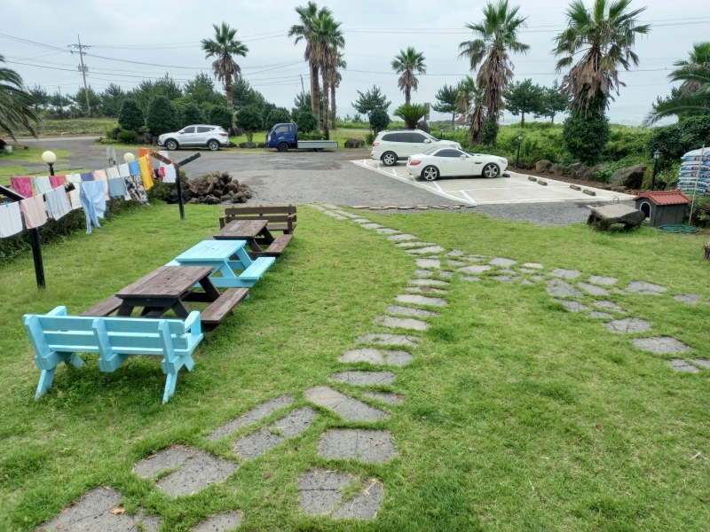 제주 동상일몽 메인 이미지