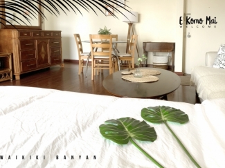하와이 Aloha Banyan
