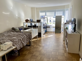 뉴욕 맨하탄 파크애비뉴 럭셔리 아파트 스튜디오 독채