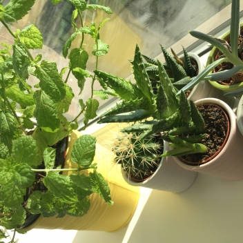 파트너 대표 이미지