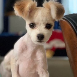 파트너 대표 이미지