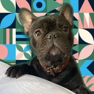 파트너 대표 이미지