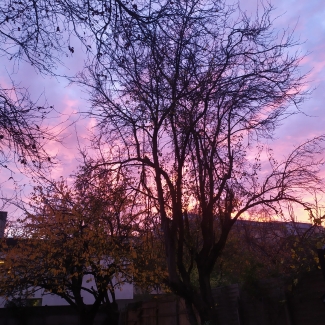 파트너 대표 이미지