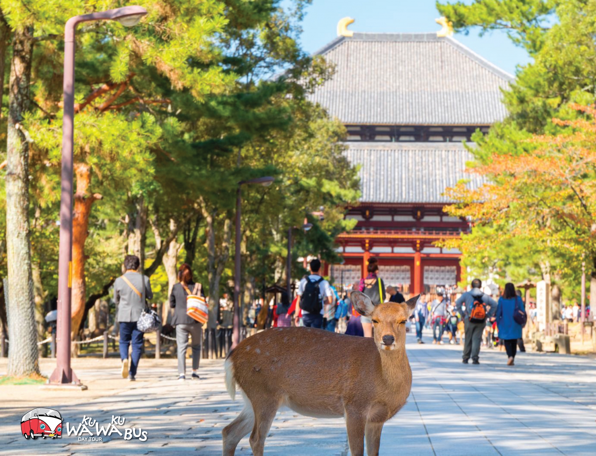 트립 상품 대표 이미지