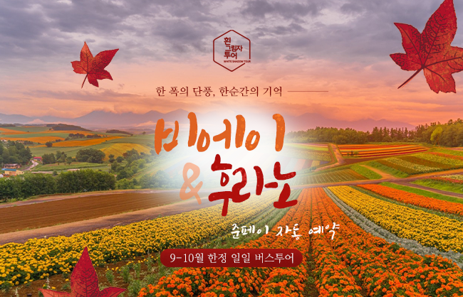 트립 상품 대표 이미지