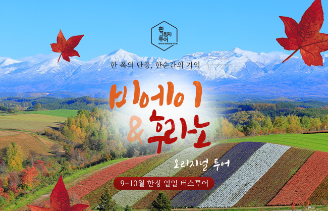 트립 상품 대표 이미지