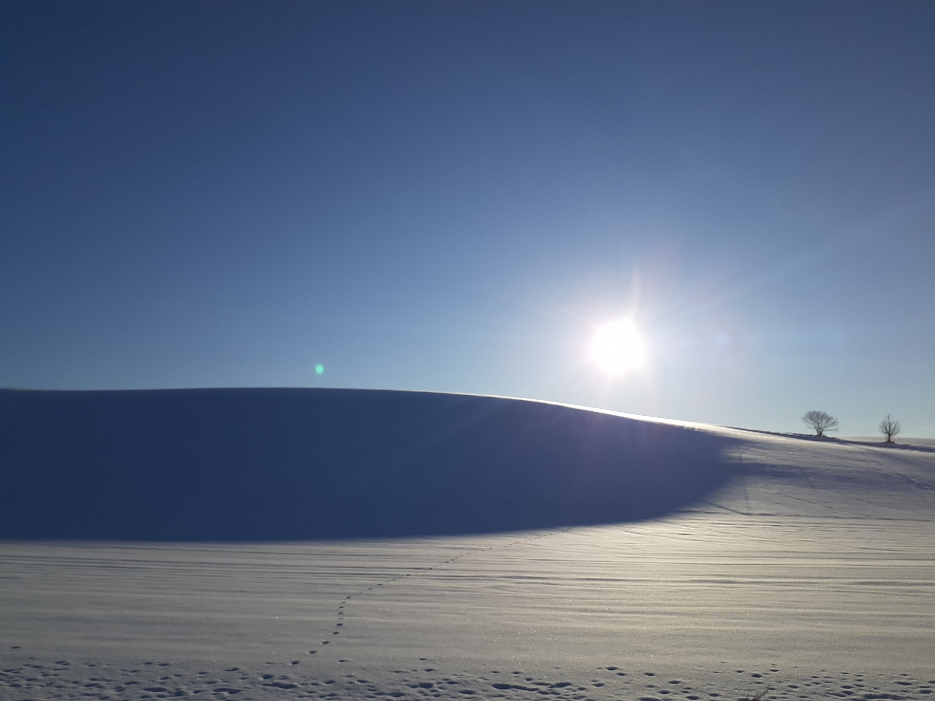 트립 상품 대표 이미지